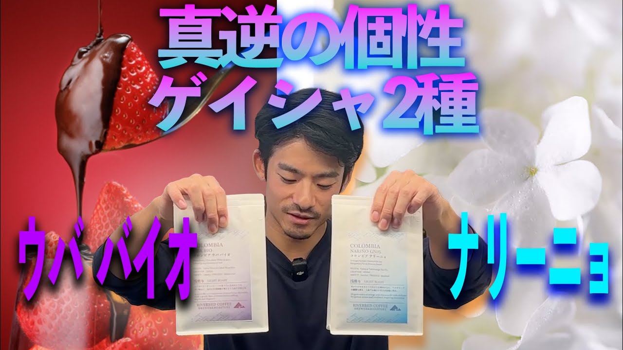 【最高のゲイシャ！】コロンビアゲイシャのポテンシャルがスゴいぞ！