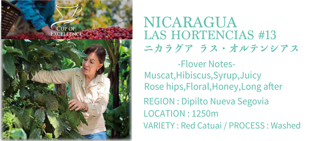 <h1>Cup of Excellence</h1>