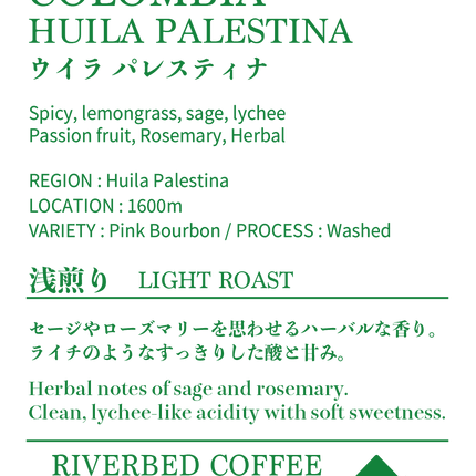 コロンビア ウィラ パレスティナ ピンクブルボン ウォッシュト (浅煎り)