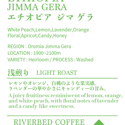 エチオピア ジマ ゲラ(浅煎り)