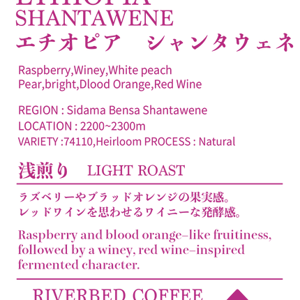 エチオピア シャンタウェネ ナチュラル (浅煎り)